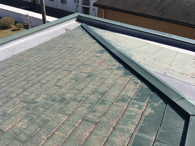 カラーベスト部分の状態確認